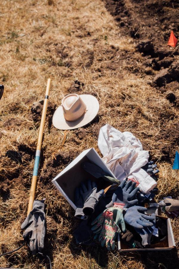 フライデー・ハーバー Saturn'S Return Bed & Breakfast エクステリア 写真